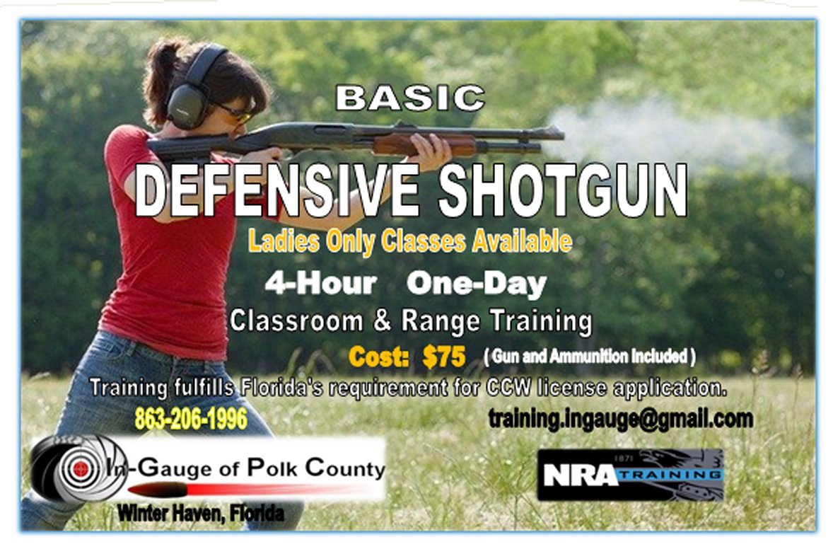 Course Titles and Descriptions InGauge of Polk County A nonprofit organization